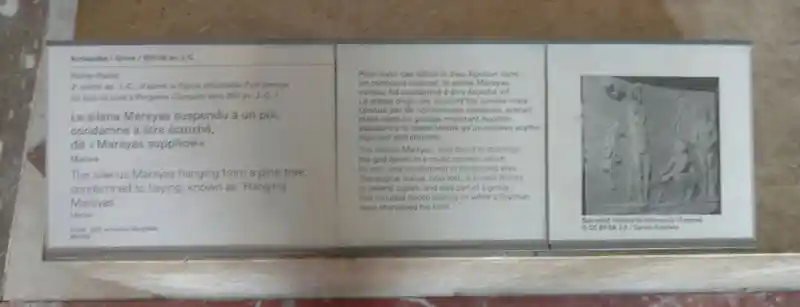 The silenus Marsyas hanging from a pine tree